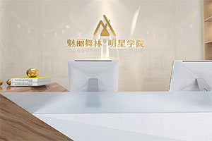 魅力舞林明星學院培訓機構裝修設計全景